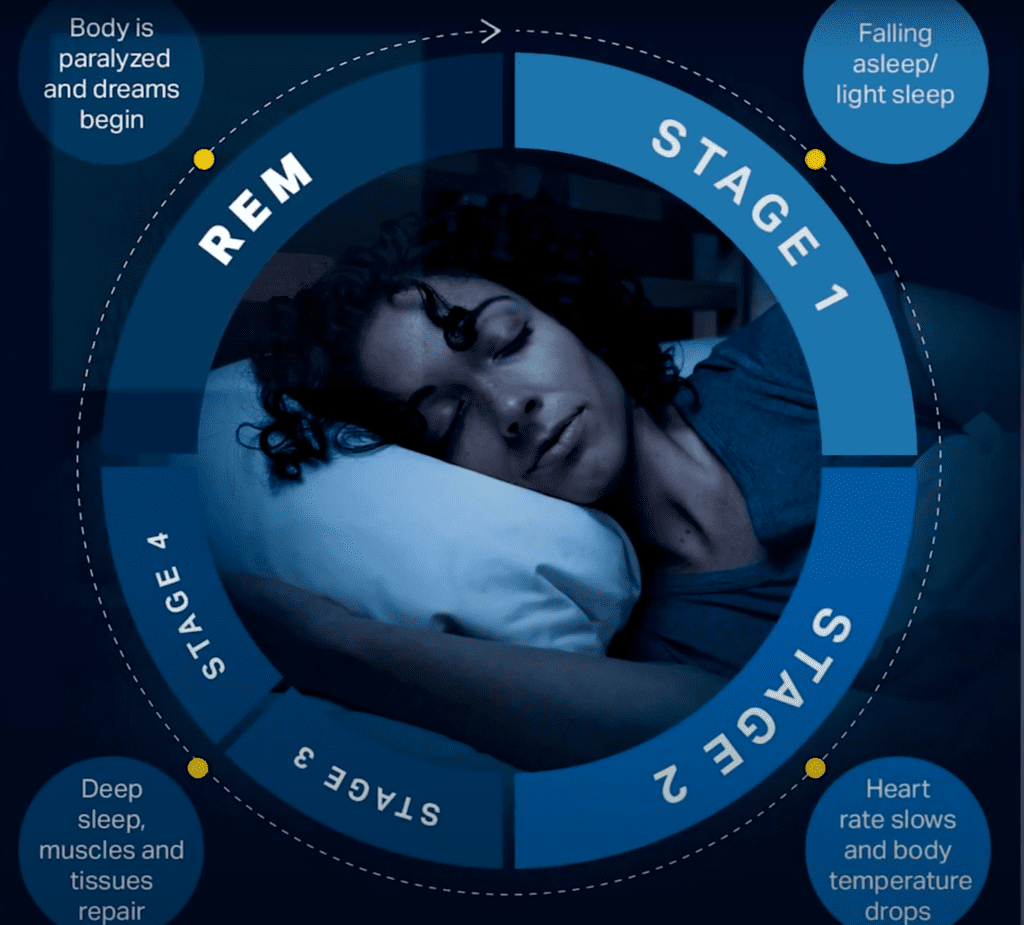 stages of sleep cycle - rem sleep