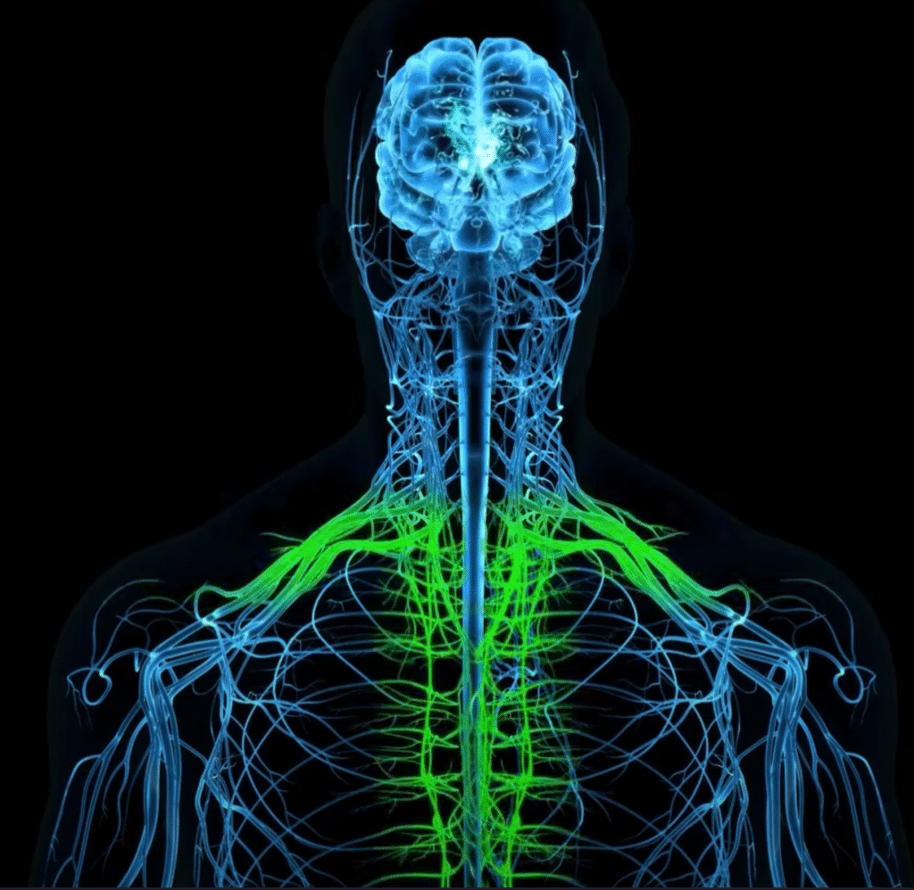 who should use a vagus nerve stimulator device