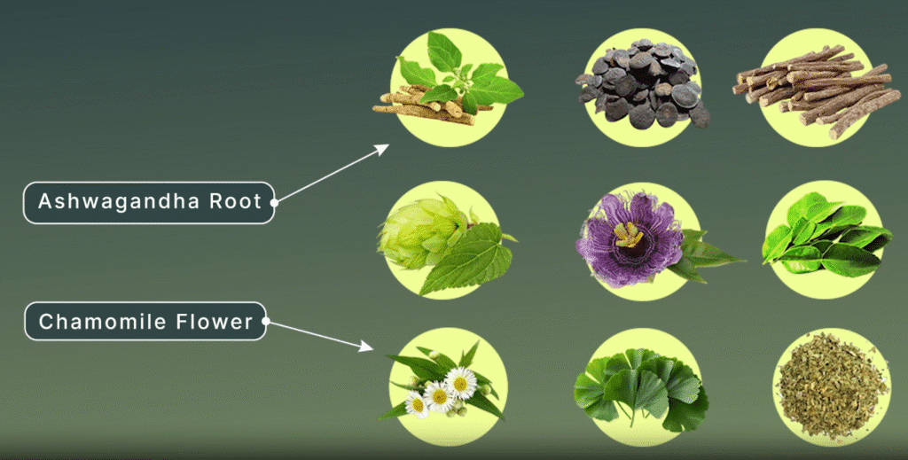 oral sleep spray ingredients