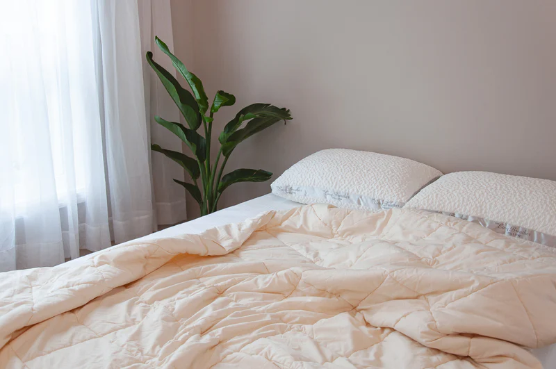 Nest Bedding Organic Wool Comforter