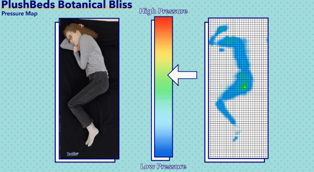 pressure map of the plushbeds botanical bliss showing pressure on hips and shoulders while sleeping