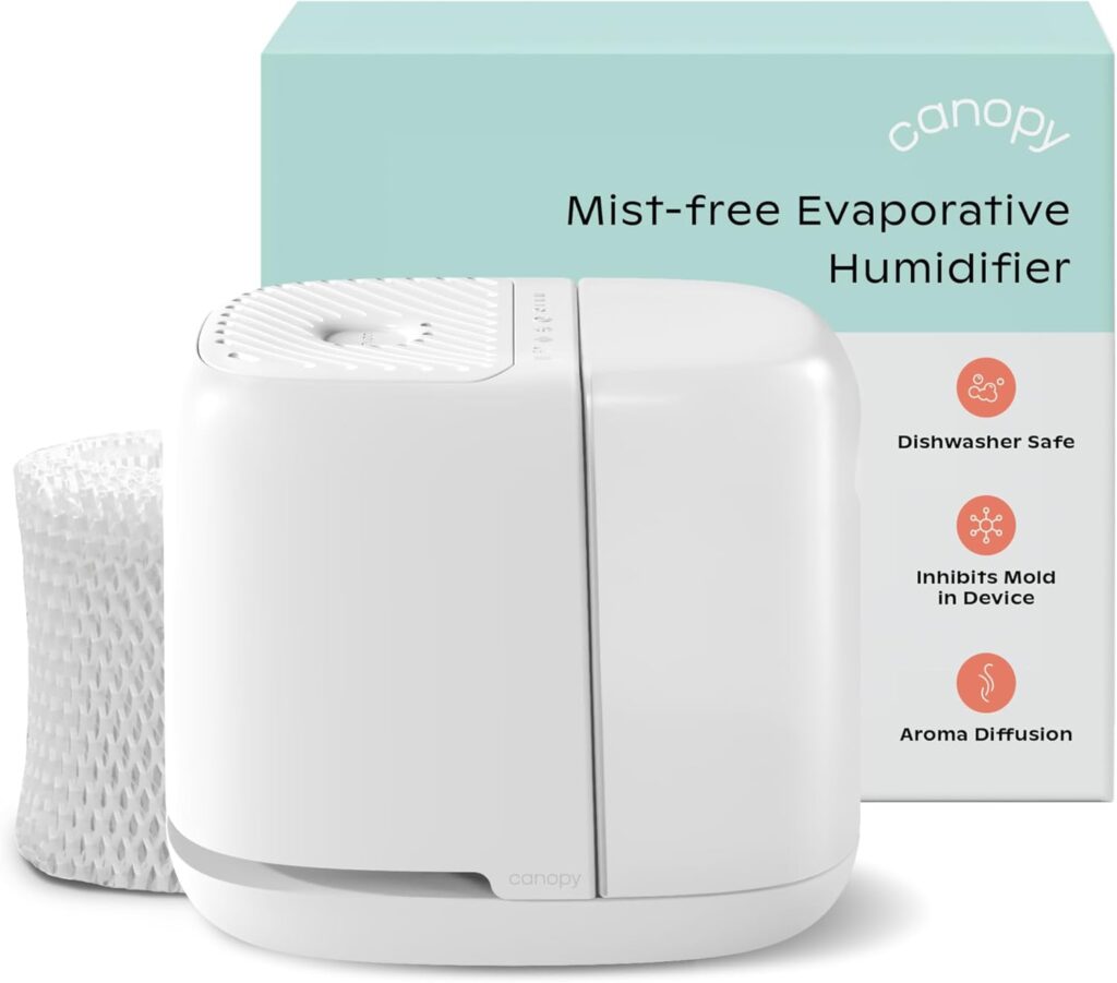 Canopy Bedroom Humidifier for Sinus Problems